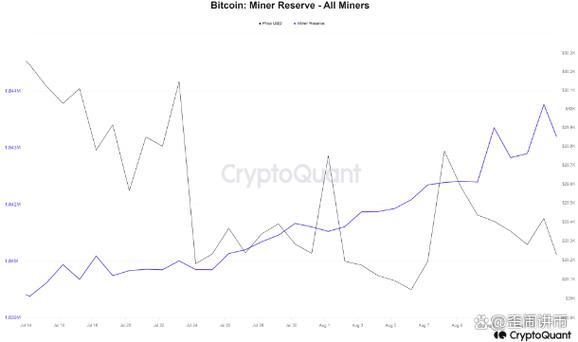 High-performance mining rigs in a modern facility
