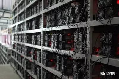 A modern mining farm packed with WhatsMiner rigs and monitored via advanced dashboard